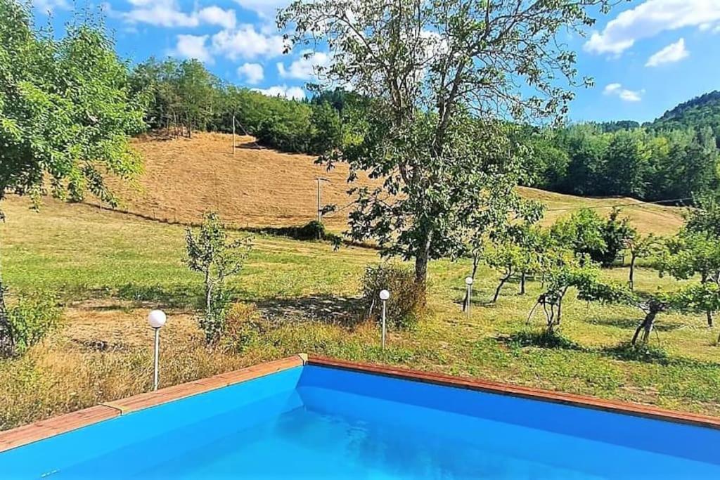 Podere La Machiusa - Villa With Pool Eksteriør billede